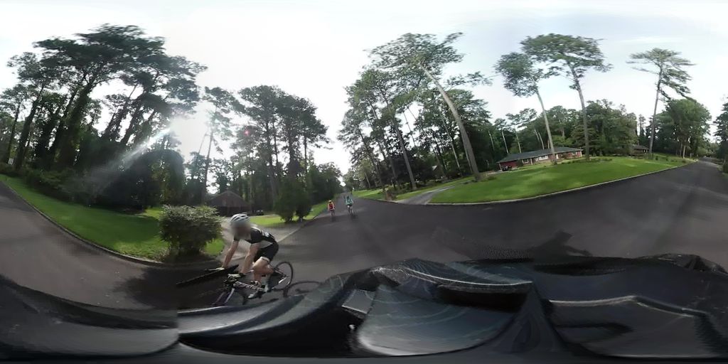 Audobon Forest, Atlanta — Street-level view — Mapillary