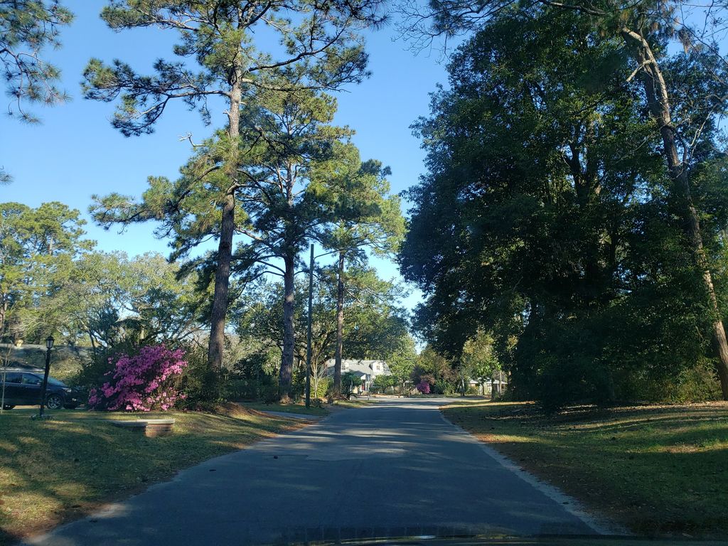 Fairway Oaks, Savannah — Street-level view — Mapillary