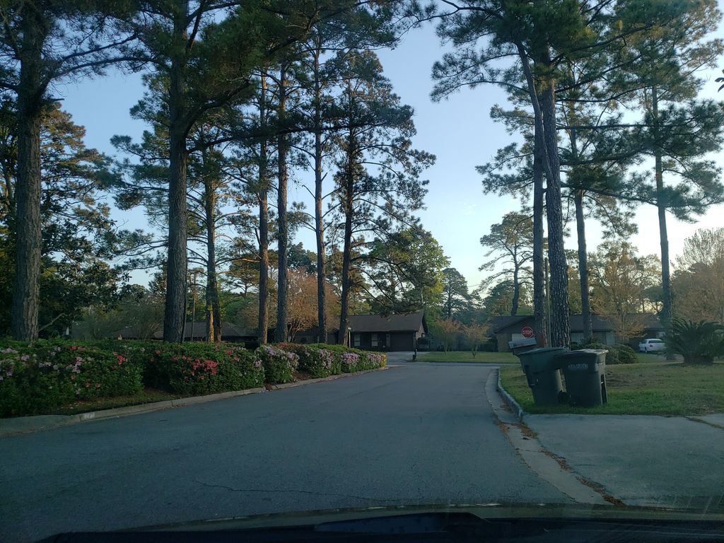 Largo Woods & Quail Forest, Savannah — Street-level view — Mapillary