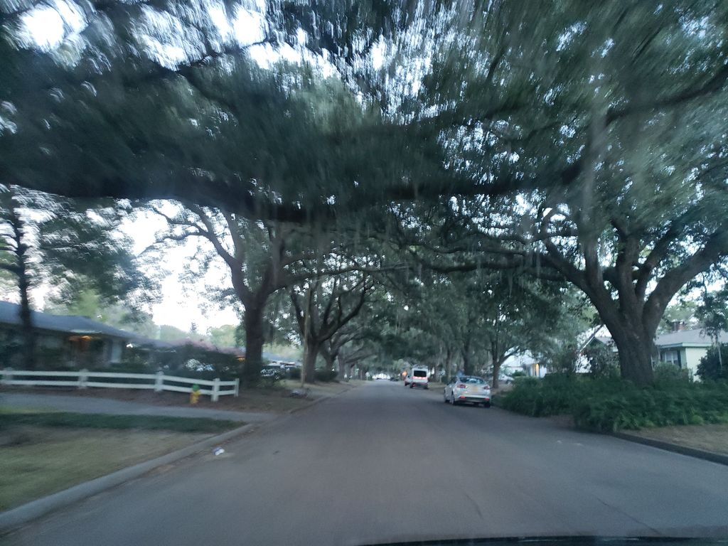 Magnolia Park, Savannah — Street-level view — Mapillary