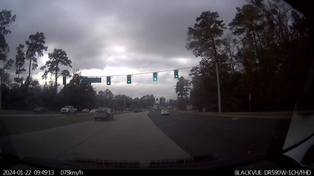 White Bluff & Holland Drive, Savannah — Street-level view — Mapillary