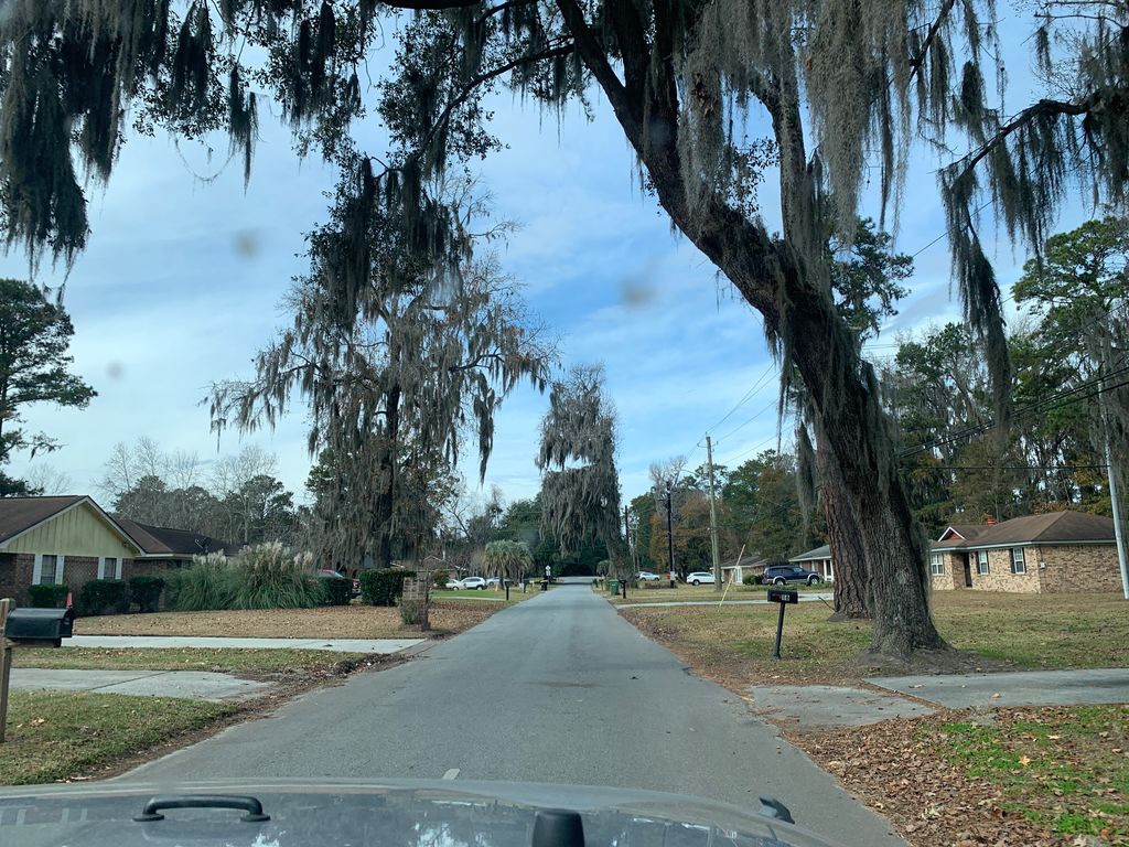 White Bluff, Savannah — Street-level view — Mapillary